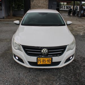 2009 Volkswagen Passat (P/white)