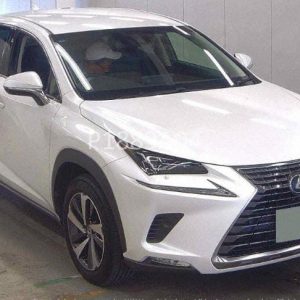 2017 Lexus NX300 (pearl white)