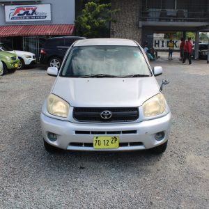2004 TOYOTA RAV4 (ZILVER)