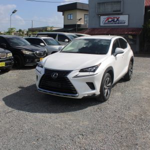 Alternative view of 2017 LEXUS NX300 (PEARL)
