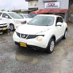 Alternative view of 2011 NISSAN JUKE (P.WIT)