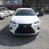 2017 LEXUS NX300 (PEARL)