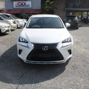 2017 LEXUS NX300 (PEARL)