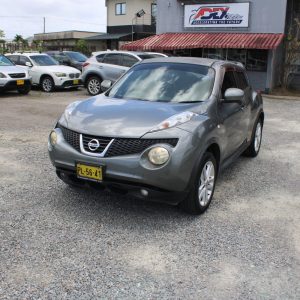 Alternative view of 2011 NISSAN JUKE ( GREY )