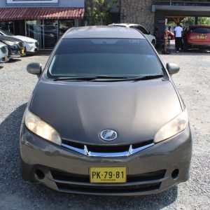 2010 TOYOTA WISH (BRUIN)