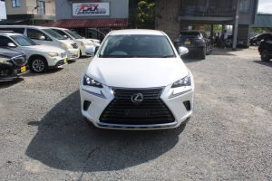 2017 LEXUS NX300 (PEARL)