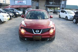 2012 NISSAN JUKE (ROOD)