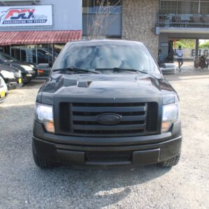 2010 FORD F150 (BLACK)