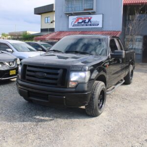 Alternative view of 2010 FORD F150 (BLACK)