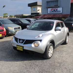 Alternative view of 2011 NISSAN JUKE (SILVER)